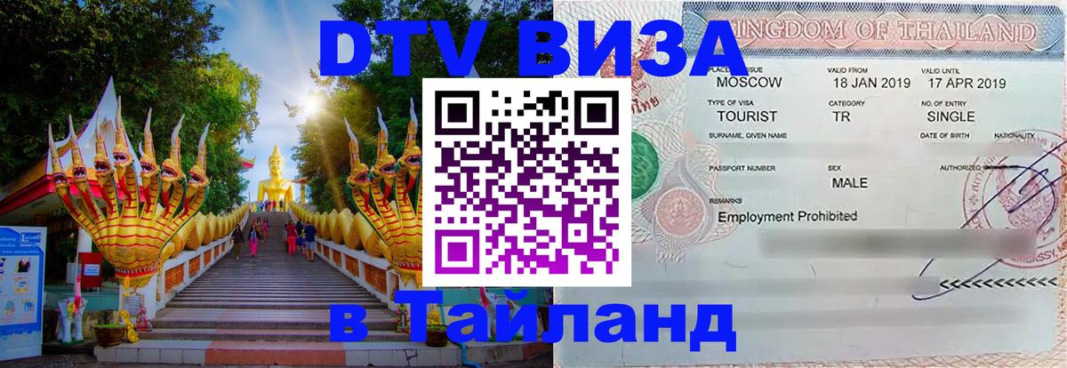 Оформление DTV визы под ключ: стоимость и тарифы, только загранпаспорт - 08.01.2026 